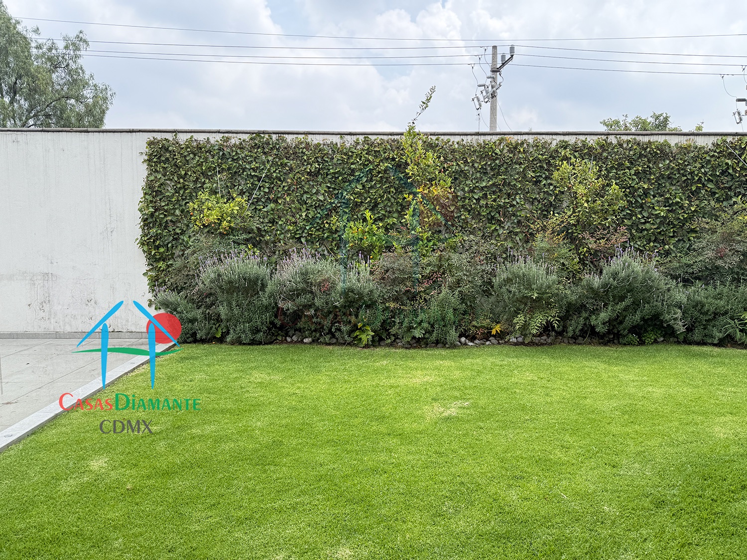 Jardines del Pedregal Casa Árbol B - Jardín 8